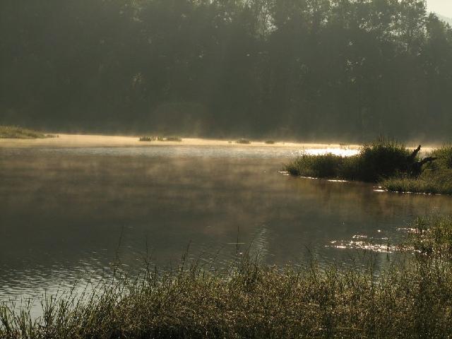 Vltava 2008 > obr (47)